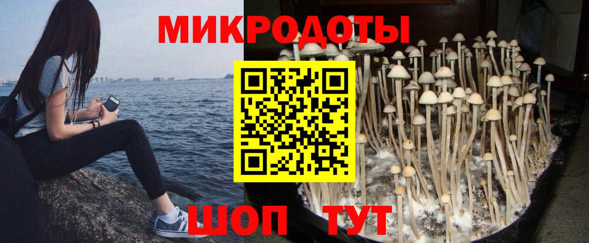 Галлюциногенные грибы прущие грибы  наркота  Вход с VPN  Новомосковск  Псилоцибиновые грибы MAGIC MUSHROOMS 