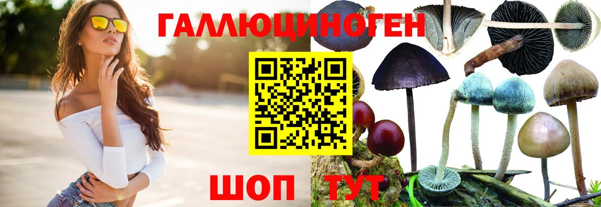 Псилоцибиновые грибы Psilocybine cubensis Новомосковск